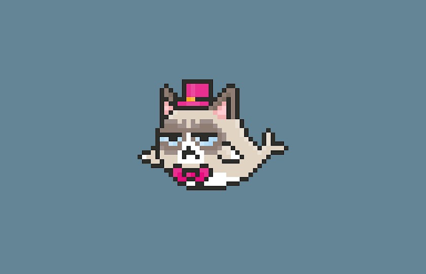 Grumpy Catfish